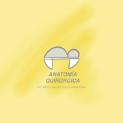 Groupe d'Anatomie Chirurgicale